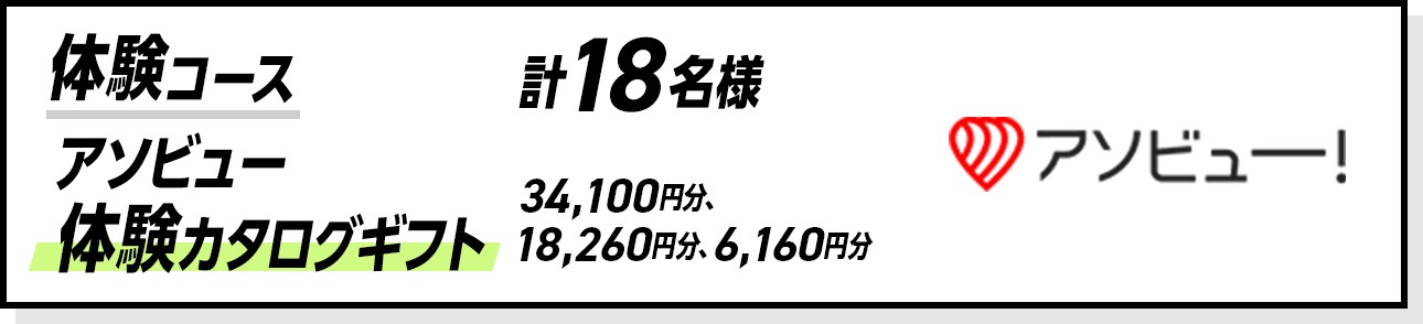 体験コース 計18名様 アソビュー体験カタログギフト 34,100円分、18,260円分、6,160円分