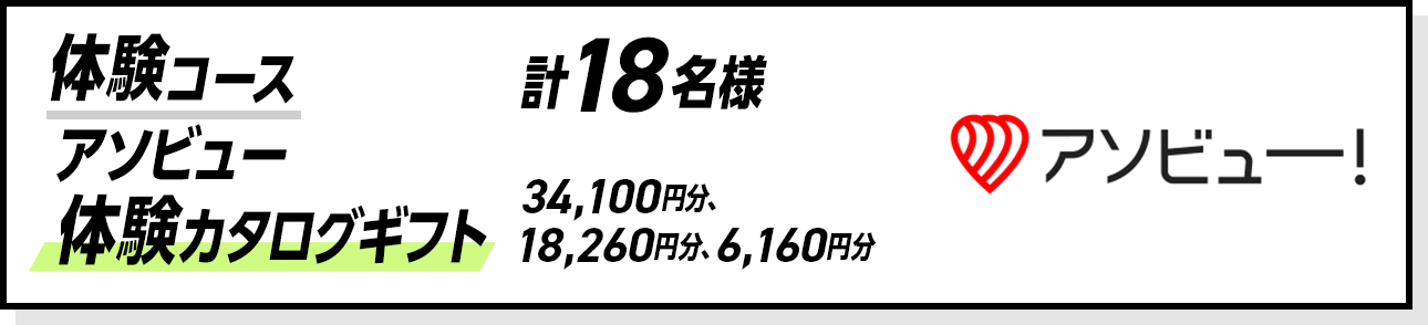 体験コース アソビュー体験カタログギフト 計18名様 34,100円分、18,260円分、6,160円分