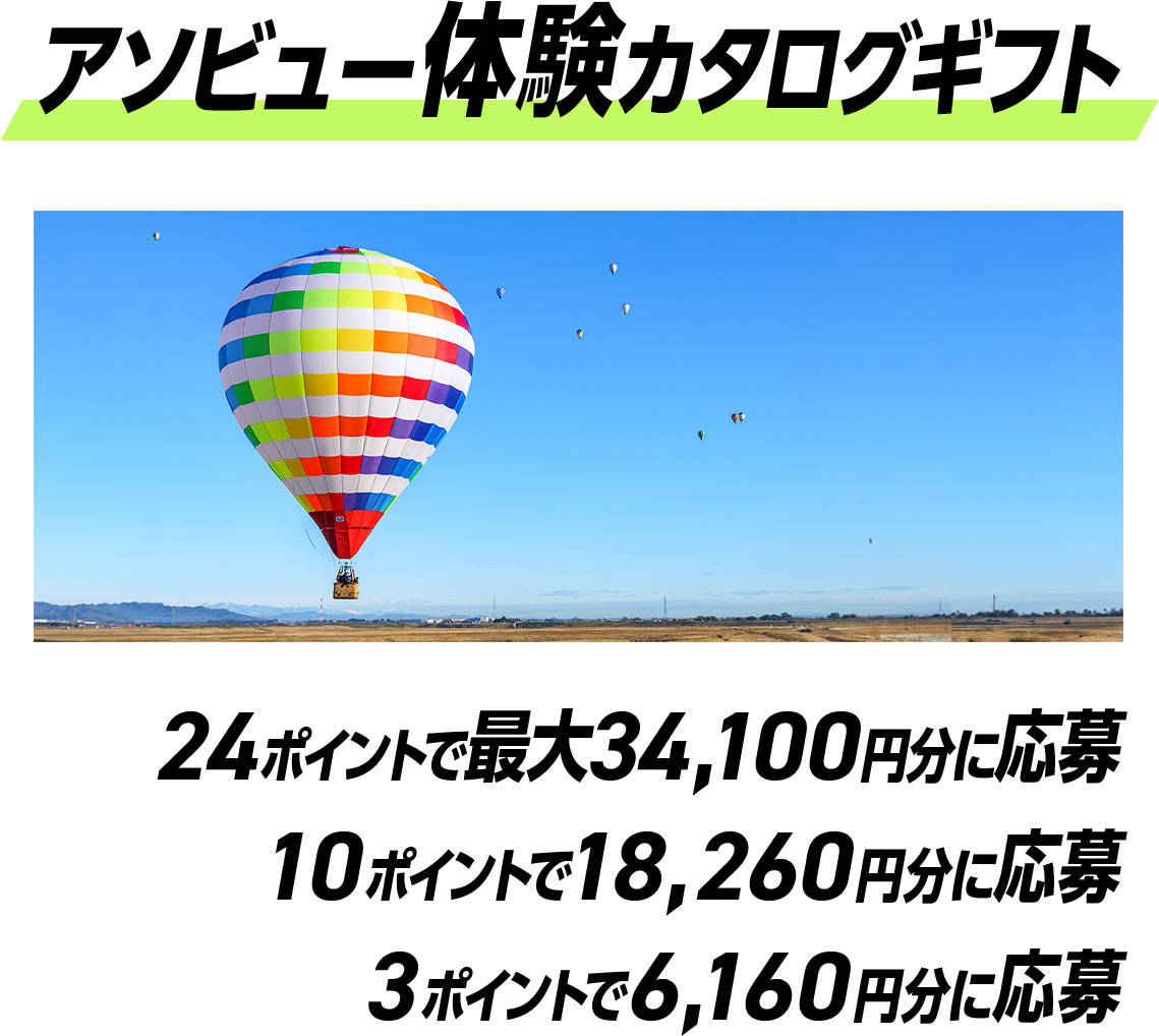 体験コース アソビュー体験カタログギフト 計18名様 34,100円分、18,260円分、6,160円分